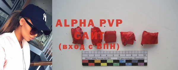 трава Пересвет