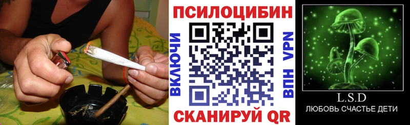 Псилоцибиновые грибы мухоморы Петрозаводск
