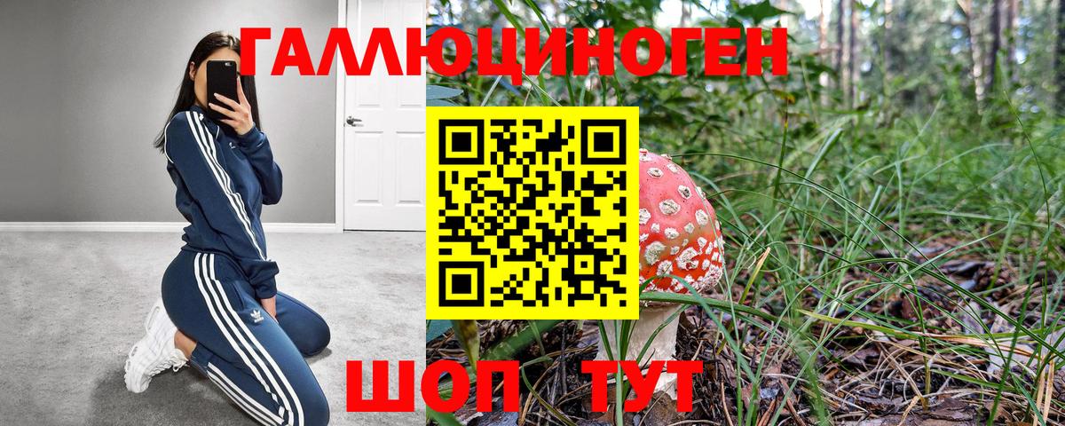 Галлюциногенные грибы MAGIC MUSHROOMS  Вход с VPN  Петрозаводск 